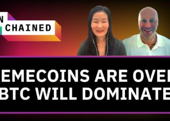 Joe McCann on Why Bitcoin Is the King and Memecoins Are Over—For Now