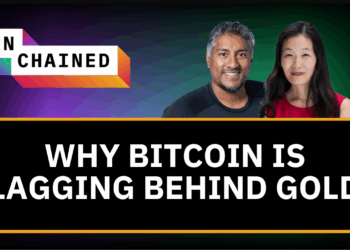 Has Bitcoin Failed to Live Up to the Digital Gold Narrative?